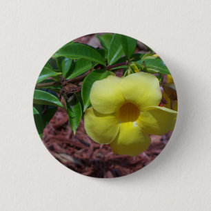 Yellow Alamanda flower 6 Cm Round Badge