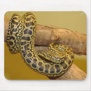 Yellow Anaconda Mouse Pad