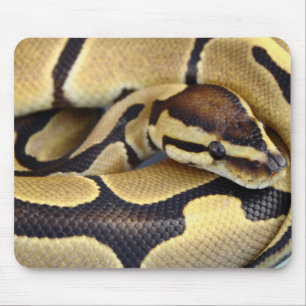 Yellow and Black Ball Python 3 Mouse Pad