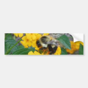 yellow and black Bee on yellow flower Bumper Sticker