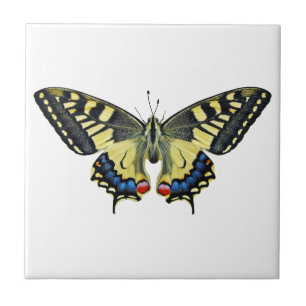 Yellow and black butterfly   ceramic tile