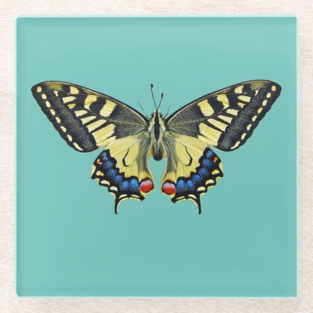 Yellow and black butterfly    glass coaster (Front)