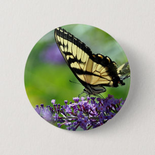 Yellow and Black Butterfly on Lavender 6 Cm Round Badge