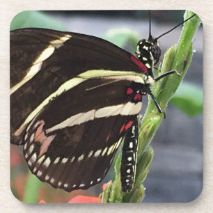 Yellow and Black butterfly wings Coaster