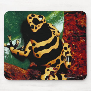 Yellow and Black Frog Mouse Pad