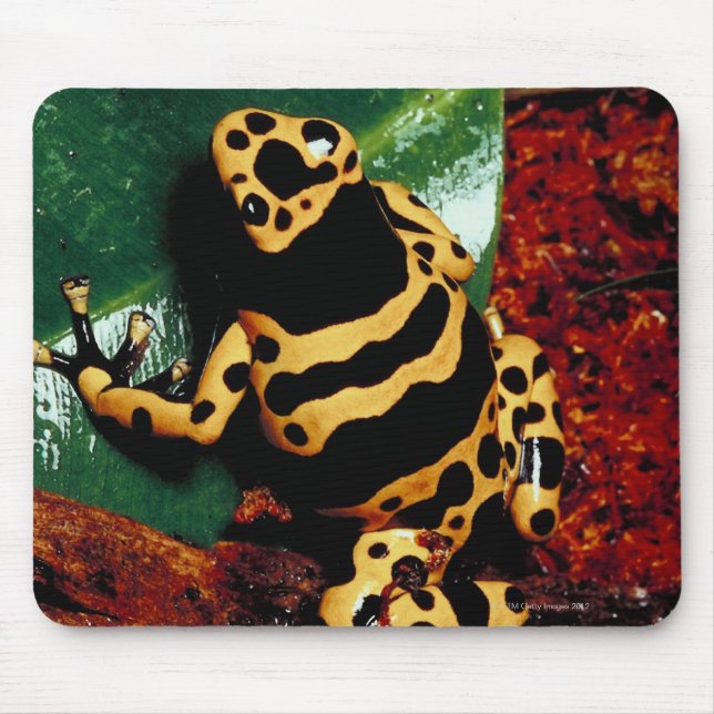 Yellow and Black Frog Mouse Pad (Front)