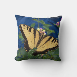 Yellow and black swallowtail butterfly on a cushion