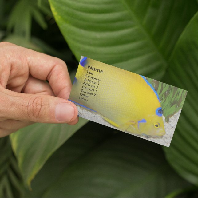 Yellow and Blue Queen Angelfish Photo Business Card (In Situ Plants)
