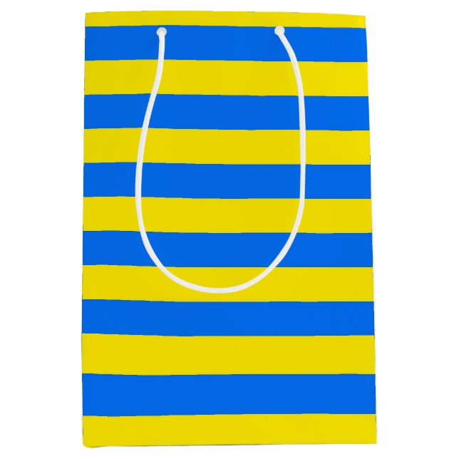 Yellow and Blue Stripes Medium Gift Bag (Front)