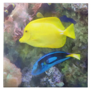 Yellow and Blue Tang Fish Tile