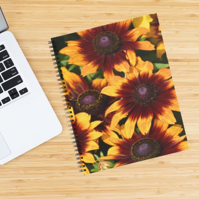 Yellow and Bronze Rudbeckias Floral Notebook (In Situ)