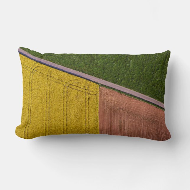 Yellow and brown textile lumbar cushion (Front)