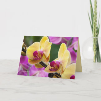 Yellow and Fushia Orchid Card