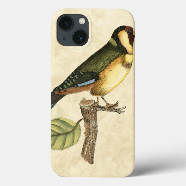Yellow and Green Bird Perched on a Little Branch Case-Mate iPhone Case (Back)