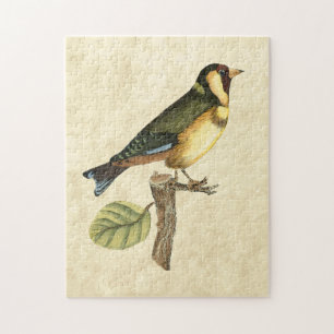 Yellow and Green Bird Perched on a Little Branch Jigsaw Puzzle