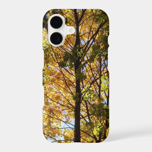 Yellow and Green Fall Foliage (Back)