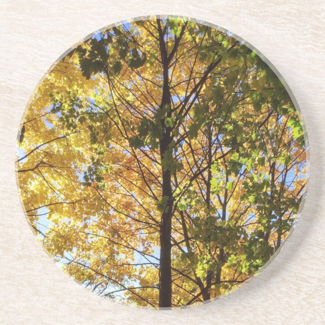 Yellow and Green Fall Foliage Coaster (Front)