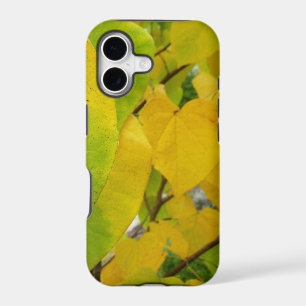 Yellow and Green Redbud Leaves