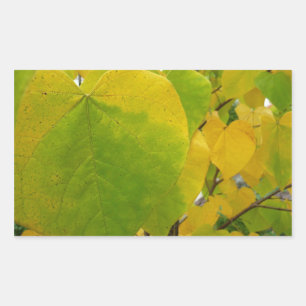 Yellow and Green Redbud Leaves Rectangular Sticker