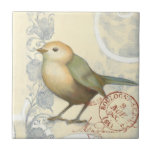 Yellow and Green Sparrow on Vintage Background Ceramic Tile<br><div class="desc">This sketch-inspired image is perfect for your bird collection. It is simple and beautiful to add on any product and will please any vintage art lover. Choose this artprint today.</div>