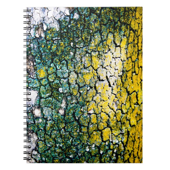 Yellow and Green Spiral Photo Notebook (Front)