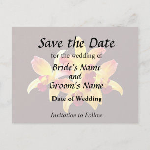 Yellow and Maroon Orchids Brassolaeliocattleya Announcement Postcard