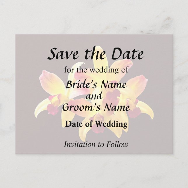 Yellow and Maroon Orchids Brassolaeliocattleya Announcement Postcard (Front)