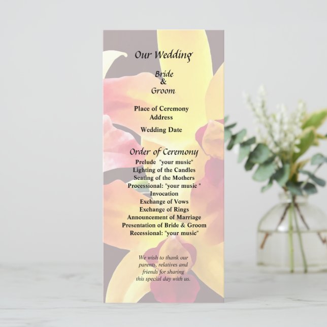 Yellow and Maroon Orchids Brassolaeliocattleya Program (Standing Front)