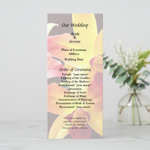 Yellow and Maroon Orchids Brassolaeliocattleya Program