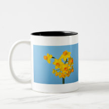Yellow and orange daffodils on blue background