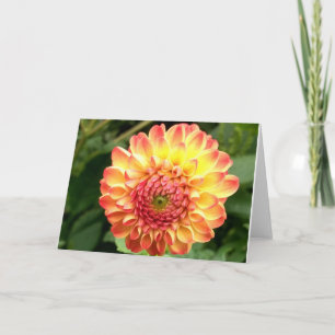 Yellow and orange dahlia on a blank note card