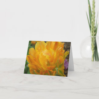 Yellow And Orange Double Tulip Petals Card
