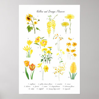 yellow and orange flowers collection poster