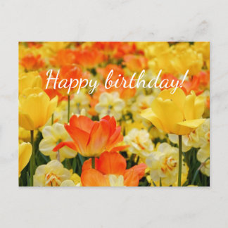 Yellow and Orange flowers Postcard
