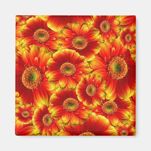Yellow and Orange Gerbera Daisies Magnet (Front)