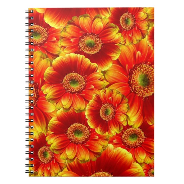 Yellow and Orange Gerbera Daisies Notebook (Front)
