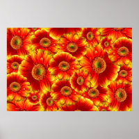 Yellow and Orange Gerbera Daisies