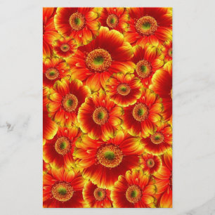 Yellow and Orange Gerbera Daisies Stationery