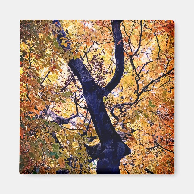 Yellow and orange leaves magnet (Front)