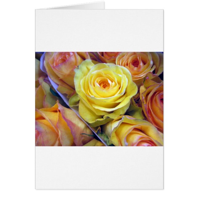 Yellow and Orange Roses (Front)