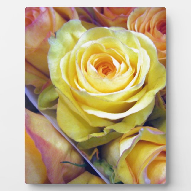 Yellow and Orange Roses Plaque (Front)