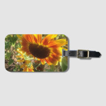 Yellow and orange sunflower photograph