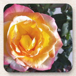 yellow and pink coaster