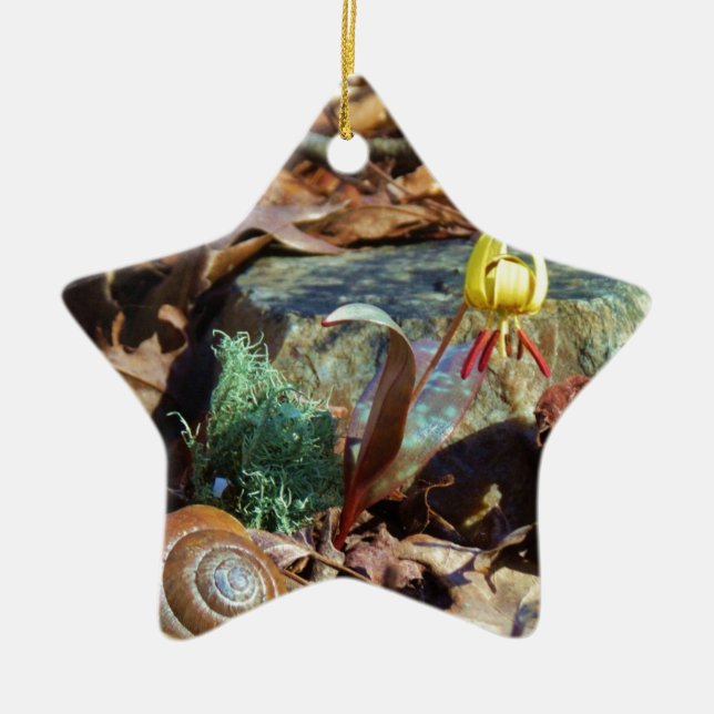 Yellow and Plum Trout Lily and Snail Shell Ceramic Ornament (Front)