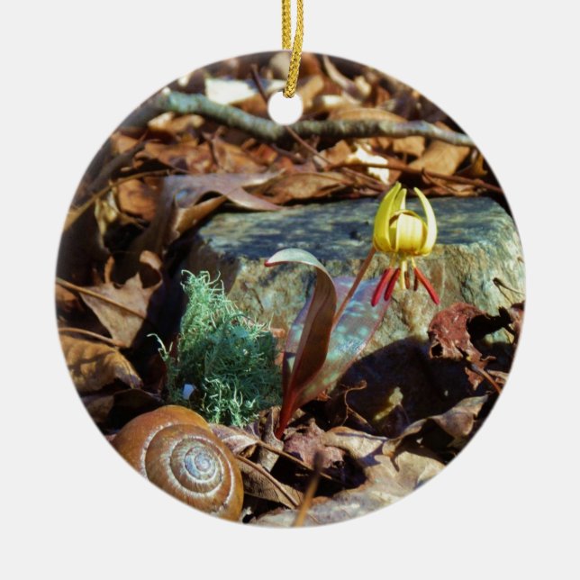 Yellow and Plum Trout Lily and Snail Shell Ceramic Ornament (Front)