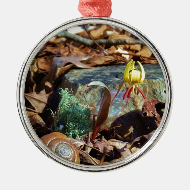 Yellow and Plum Trout Lily and Snail Shell Metal Ornament (Front)