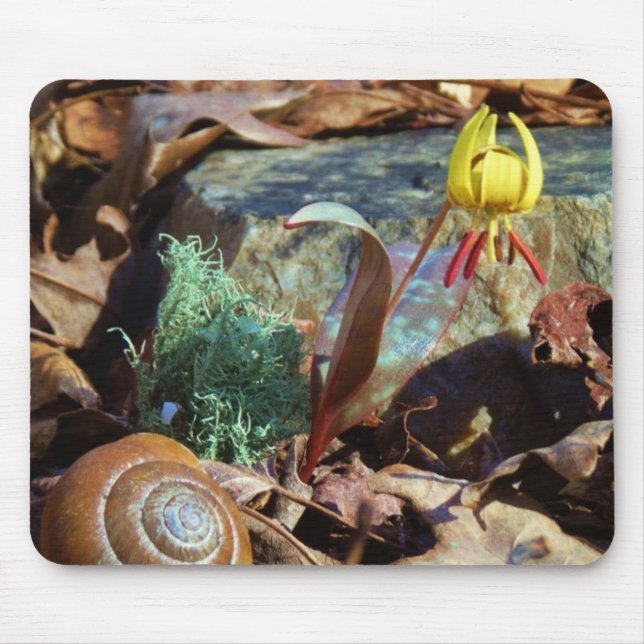 Yellow and Plum Trout Lily and Snail Shell Mouse Pad (Front)