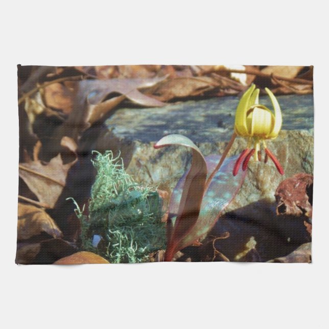 Yellow and Plum Trout Lily and Snail Shell Tea Towel (Horizontal)
