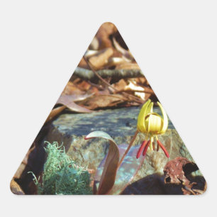 Yellow and Plum Trout Lily and Snail Shell Triangle Sticker