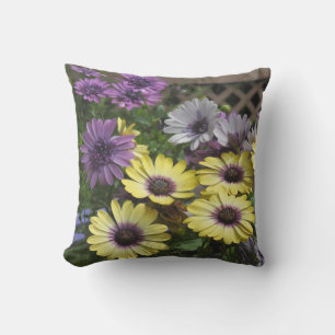 Yellow and Purple African Daisies OutDoor Pillow